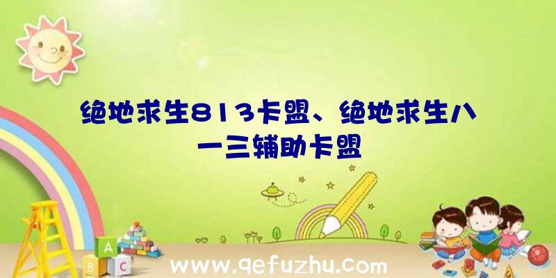 绝地求生813卡盟、绝地求生八一三辅助卡盟