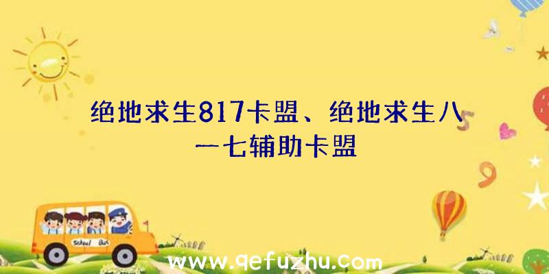 绝地求生817卡盟、绝地求生八一七辅助卡盟