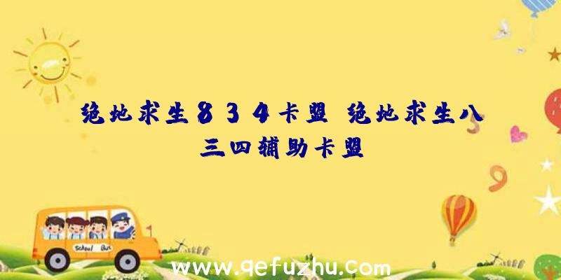 绝地求生834卡盟、绝地求生八三四辅助卡盟