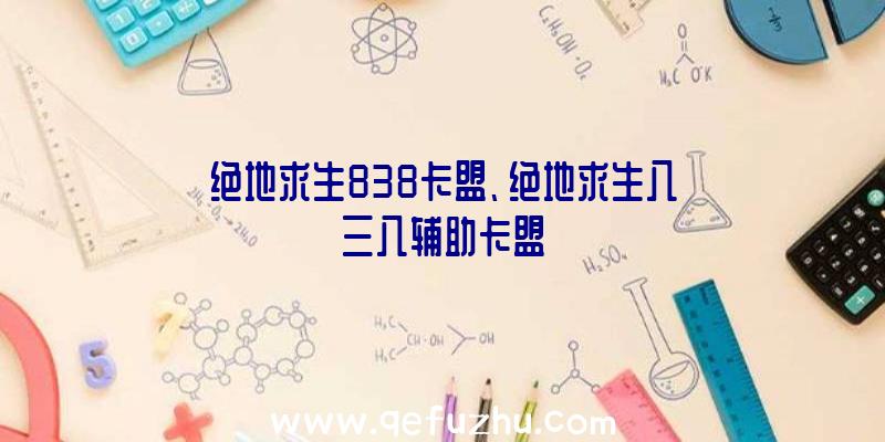 绝地求生838卡盟、绝地求生八三八辅助卡盟