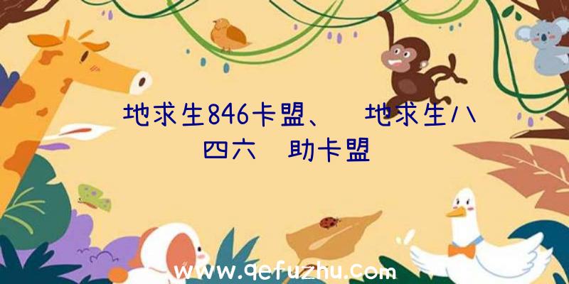 绝地求生846卡盟、绝地求生八四六辅助卡盟