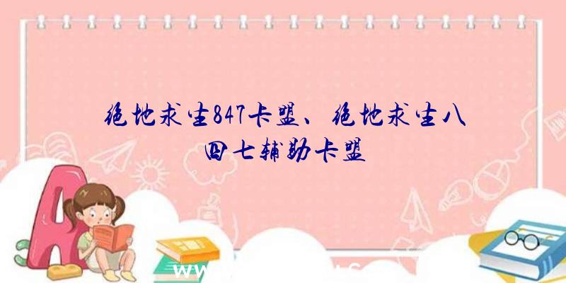 绝地求生847卡盟、绝地求生八四七辅助卡盟