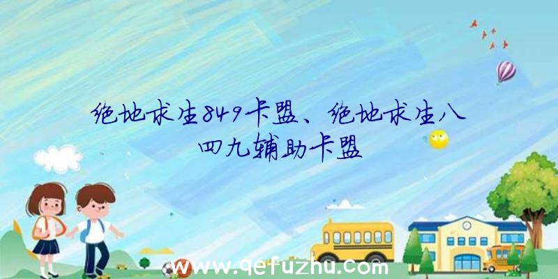 绝地求生849卡盟、绝地求生八四九辅助卡盟