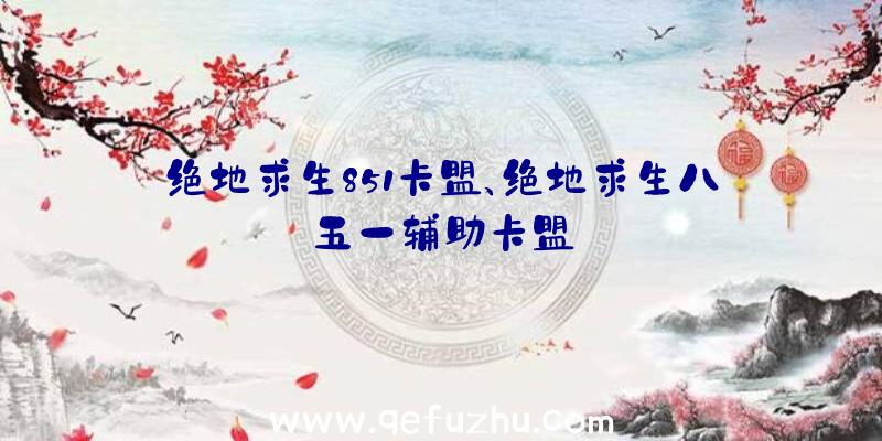 绝地求生851卡盟、绝地求生八五一辅助卡盟