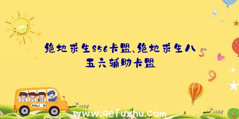 绝地求生856卡盟、绝地求生八五六辅助卡盟