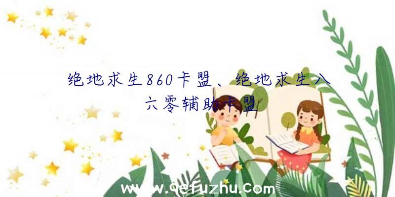 绝地求生860卡盟、绝地求生八六零辅助卡盟