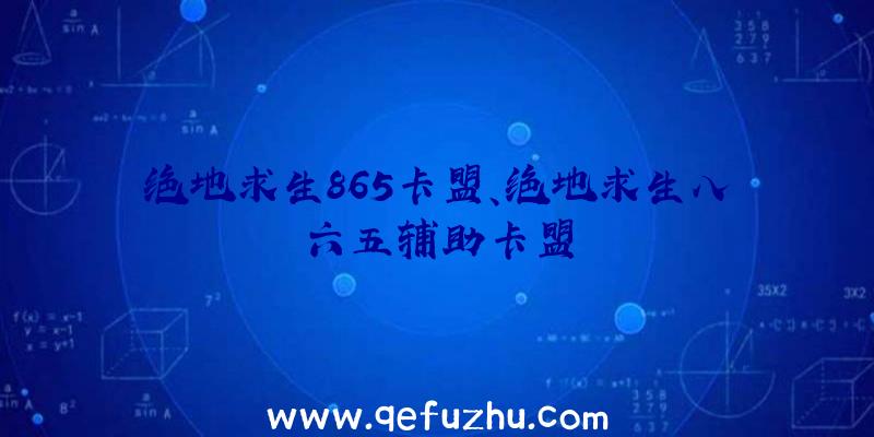 绝地求生865卡盟、绝地求生八六五辅助卡盟