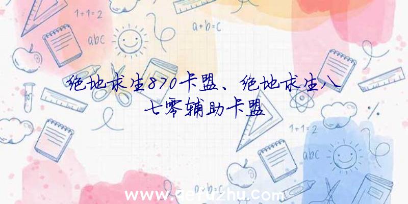 绝地求生870卡盟、绝地求生八七零辅助卡盟