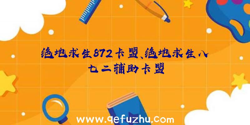 绝地求生872卡盟、绝地求生八七二辅助卡盟