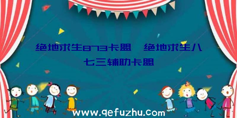 绝地求生873卡盟、绝地求生八七三辅助卡盟