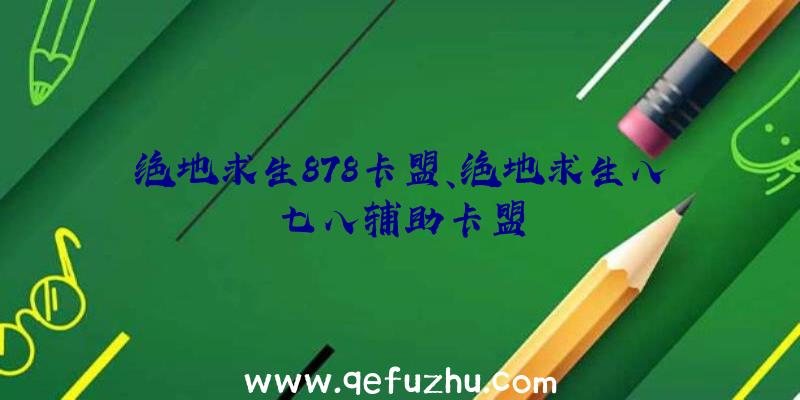 绝地求生878卡盟、绝地求生八七八辅助卡盟