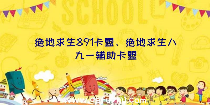 绝地求生891卡盟、绝地求生八九一辅助卡盟