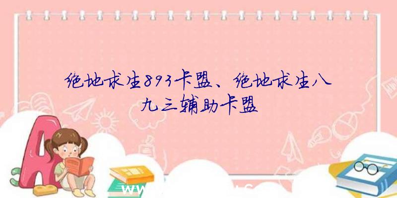 绝地求生893卡盟、绝地求生八九三辅助卡盟