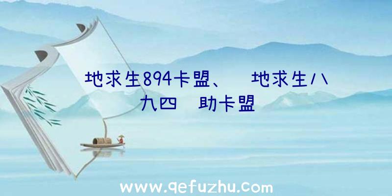 绝地求生894卡盟、绝地求生八九四辅助卡盟