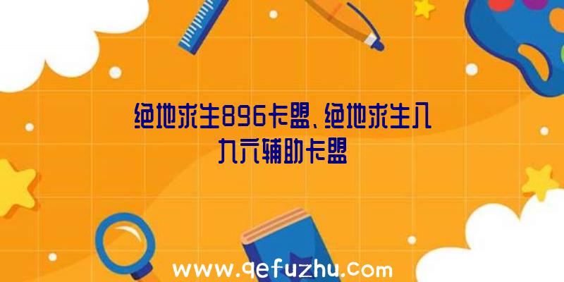 绝地求生896卡盟、绝地求生八九六辅助卡盟