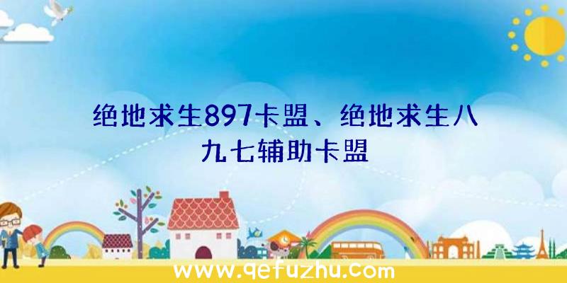 绝地求生897卡盟、绝地求生八九七辅助卡盟