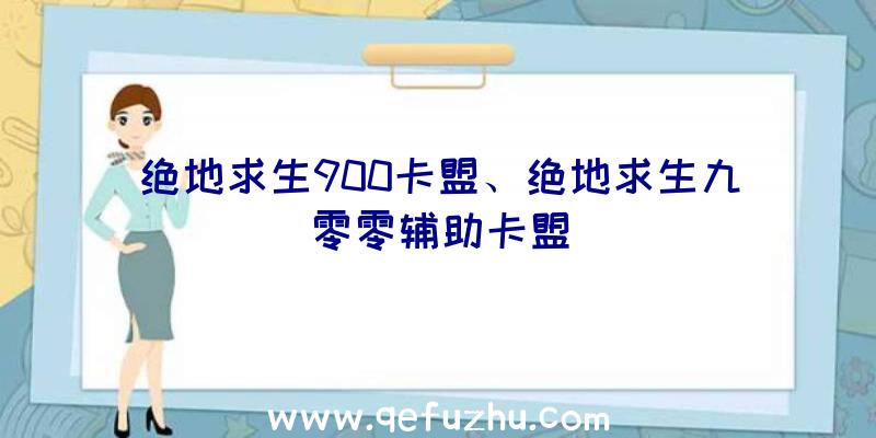 绝地求生900卡盟、绝地求生九零零辅助卡盟