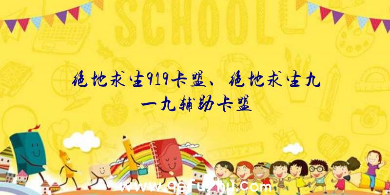 绝地求生919卡盟、绝地求生九一九辅助卡盟