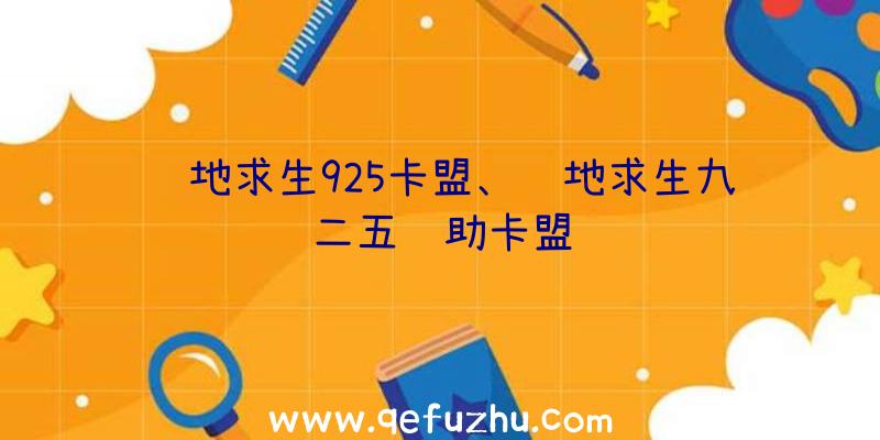 绝地求生925卡盟、绝地求生九二五辅助卡盟