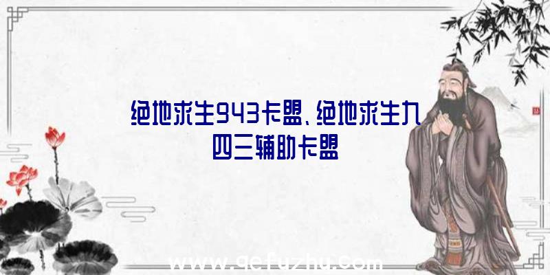 绝地求生943卡盟、绝地求生九四三辅助卡盟