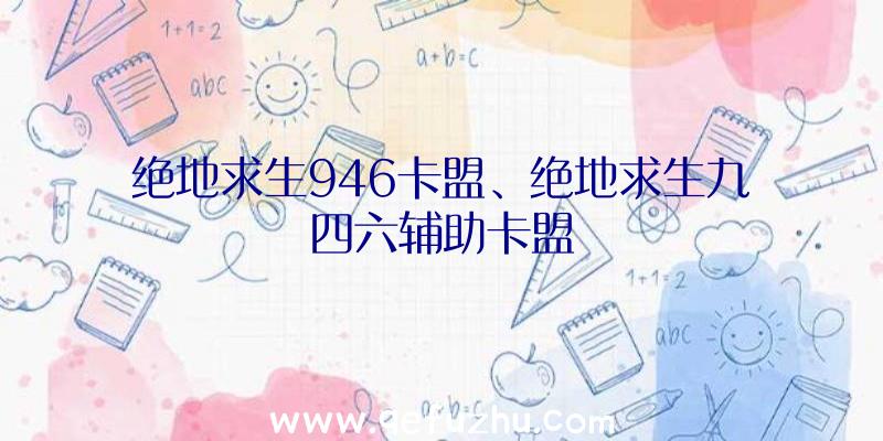 绝地求生946卡盟、绝地求生九四六辅助卡盟