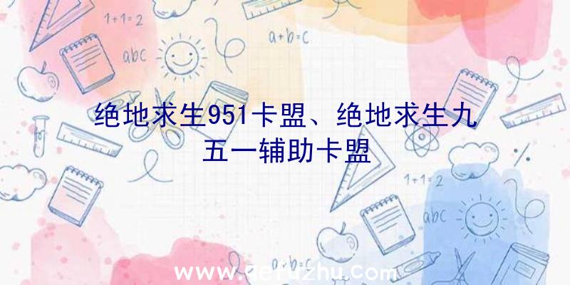 绝地求生951卡盟、绝地求生九五一辅助卡盟