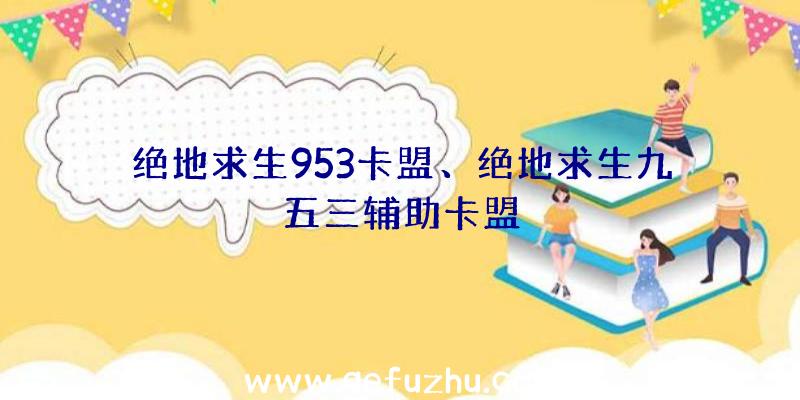 绝地求生953卡盟、绝地求生九五三辅助卡盟