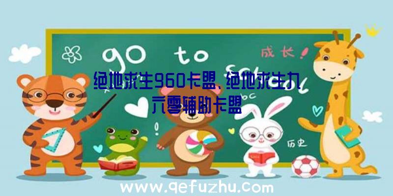 绝地求生960卡盟、绝地求生九六零辅助卡盟