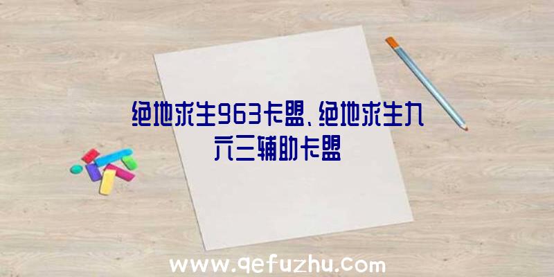 绝地求生963卡盟、绝地求生九六三辅助卡盟