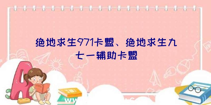 绝地求生971卡盟、绝地求生九七一辅助卡盟