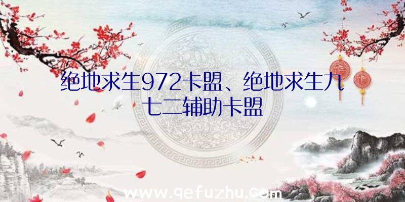 绝地求生972卡盟、绝地求生九七二辅助卡盟