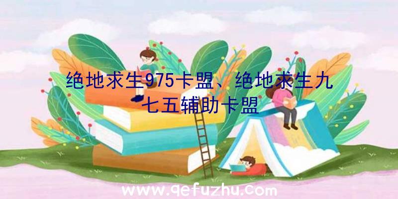 绝地求生975卡盟、绝地求生九七五辅助卡盟