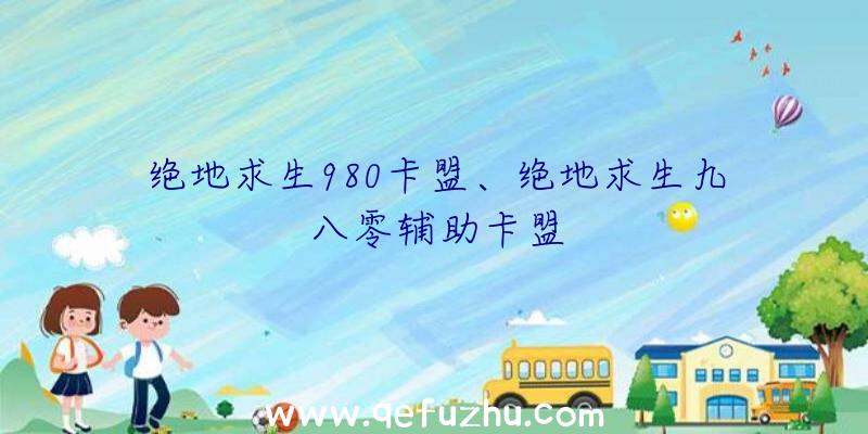 绝地求生980卡盟、绝地求生九八零辅助卡盟