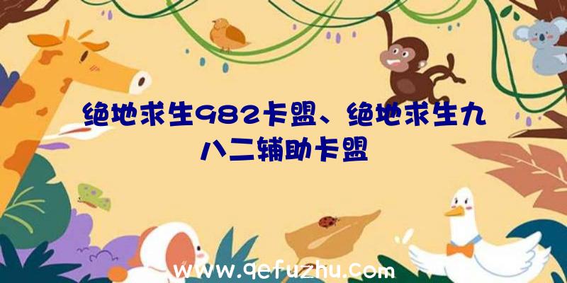 绝地求生982卡盟、绝地求生九八二辅助卡盟