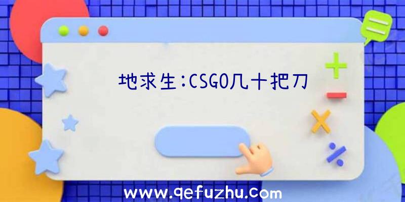 绝地求生:CSGO几十把刀