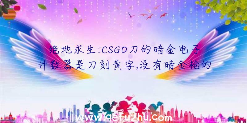 绝地求生:CSGO刀的暗金电子计数器是刀刻黄字,没有暗金枪的