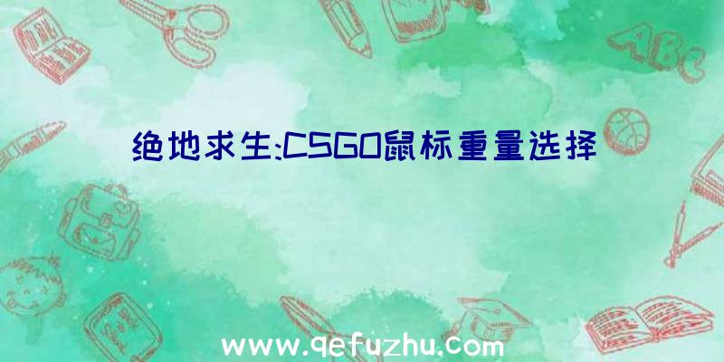 绝地求生:CSGO鼠标重量选择