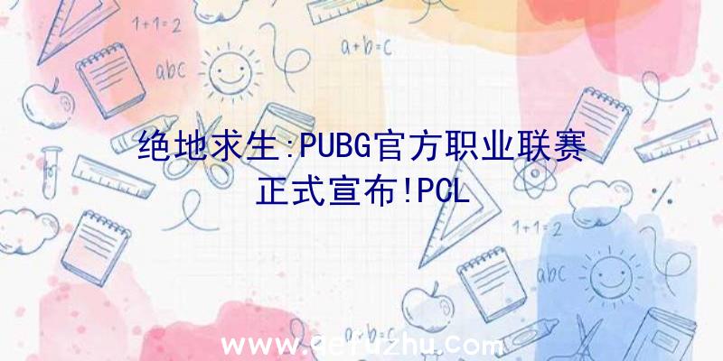 绝地求生:PUBG官方职业联赛正式宣布!PCL