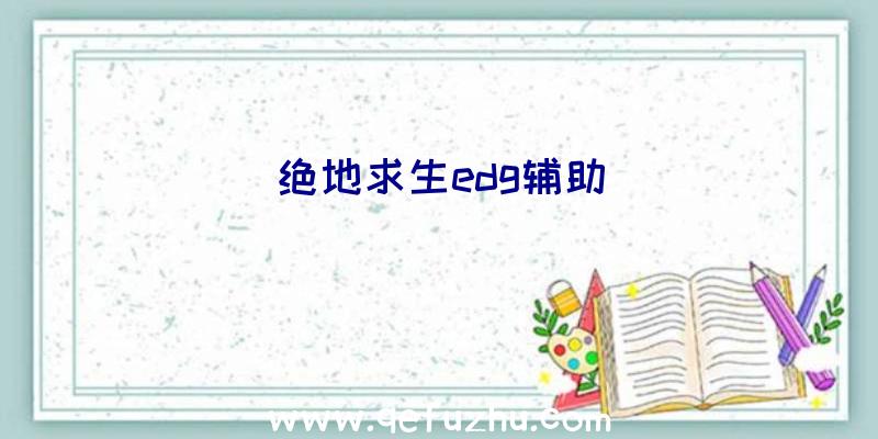 绝地求生edg辅助