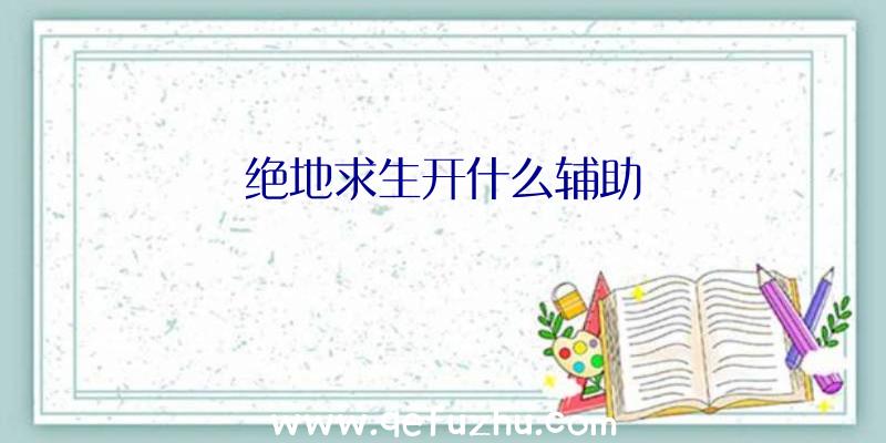 绝地求生开什么辅助