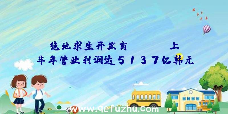 绝地求生开发商Krafton上半年营业利润达5137亿韩元