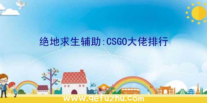 绝地求生辅助:CSGO大佬排行