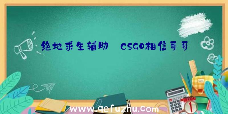 绝地求生辅助:CSGO相信哥哥