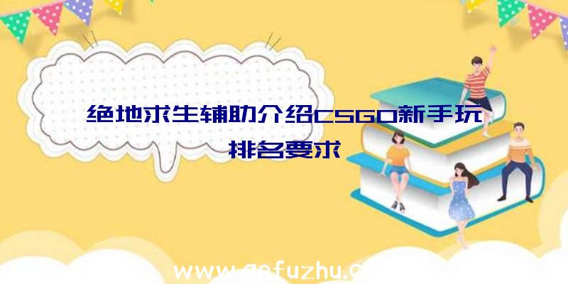 绝地求生辅助介绍CSGO新手玩排名要求