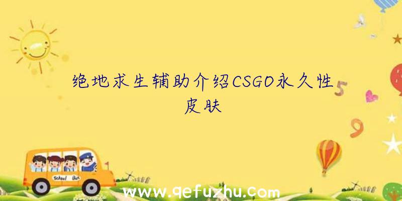 绝地求生辅助介绍CSGO永久性皮肤