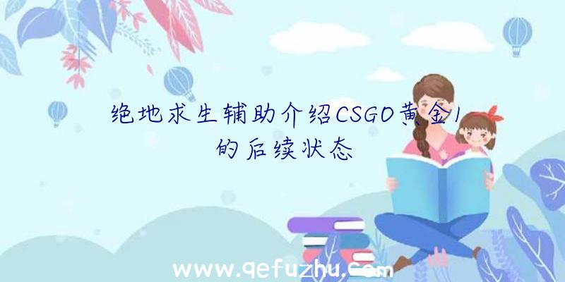 绝地求生辅助介绍CSGO黄金1的后续状态