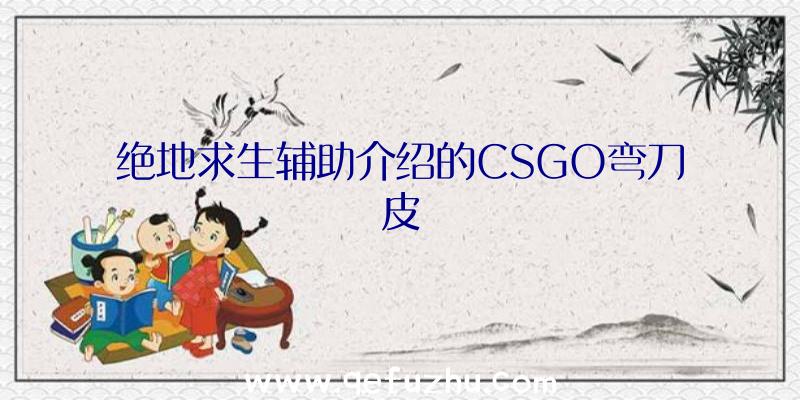 绝地求生辅助介绍的CSGO弯刀皮