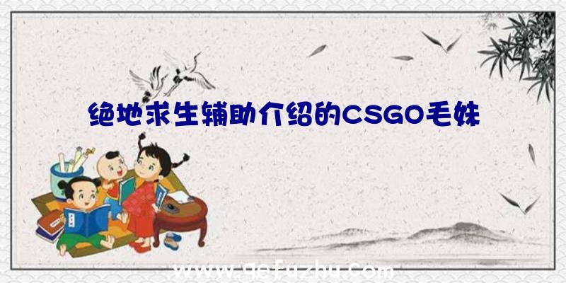 绝地求生辅助介绍的CSGO毛妹