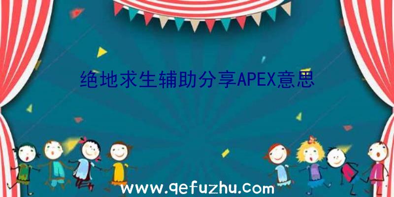 绝地求生辅助分享APEX意思