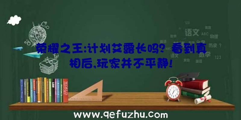 荣耀之王:计划艾露长吗？看到真相后,玩家并不平静!